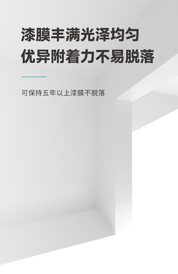 高级外墙乳胶漆_04