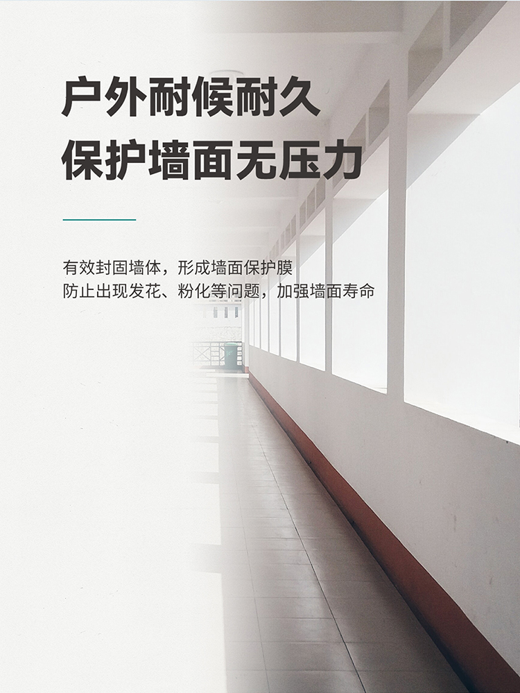 环保外墙乳胶漆_03