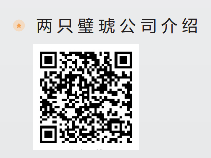 两只璧琥公司介绍