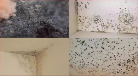 微信图片_20230318170833