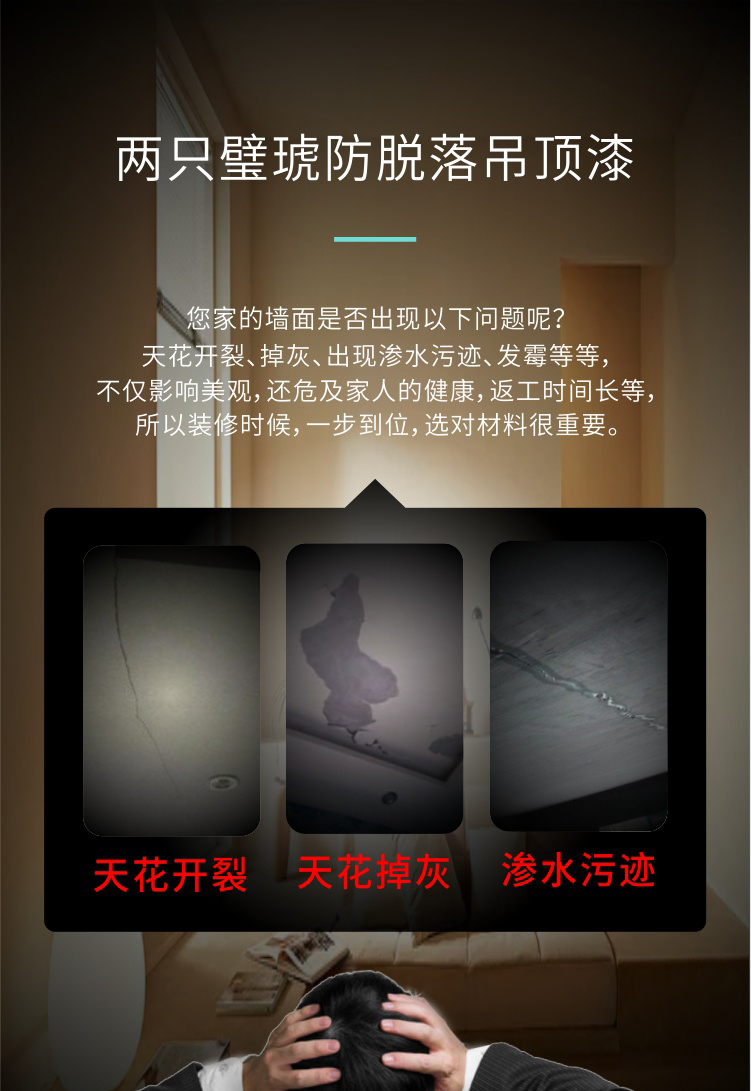 8.两只璧琥防脱落吊顶漆_01