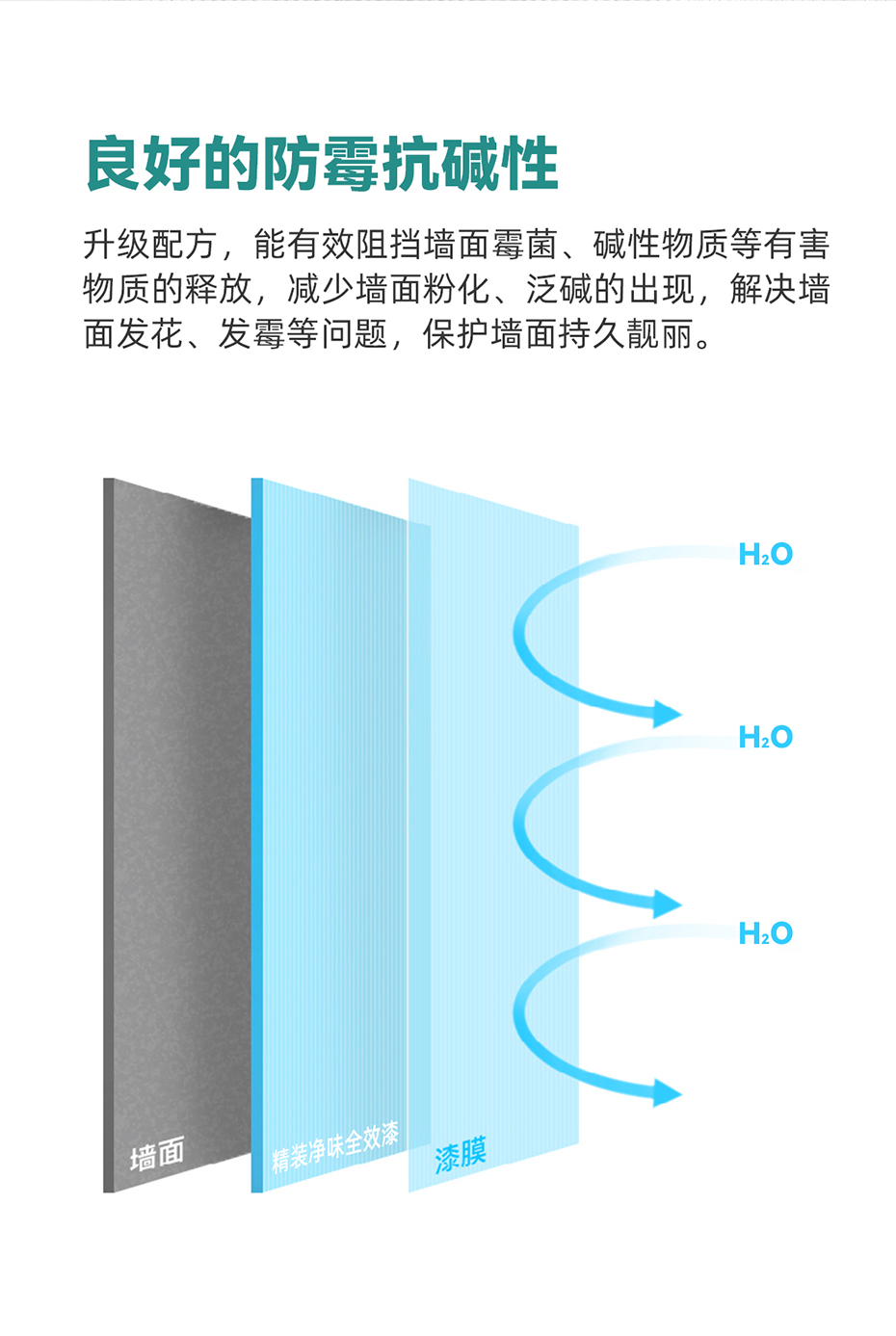 精装净味全效涂料_05