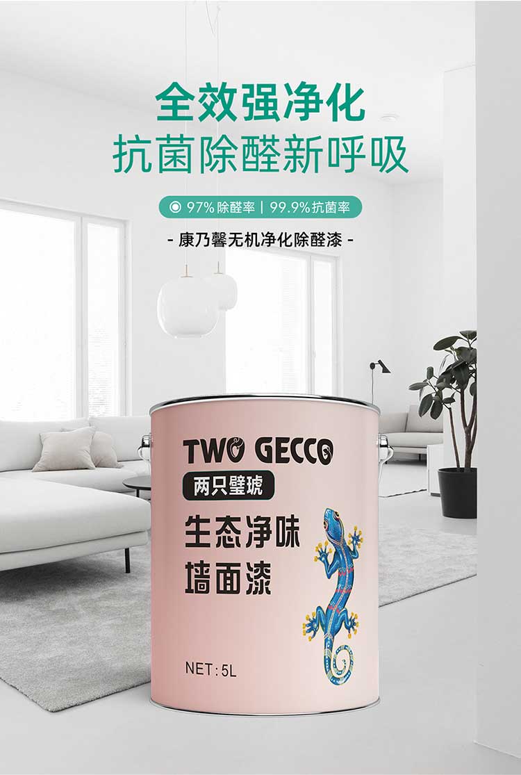 康乃馨无机净化除醛漆_03