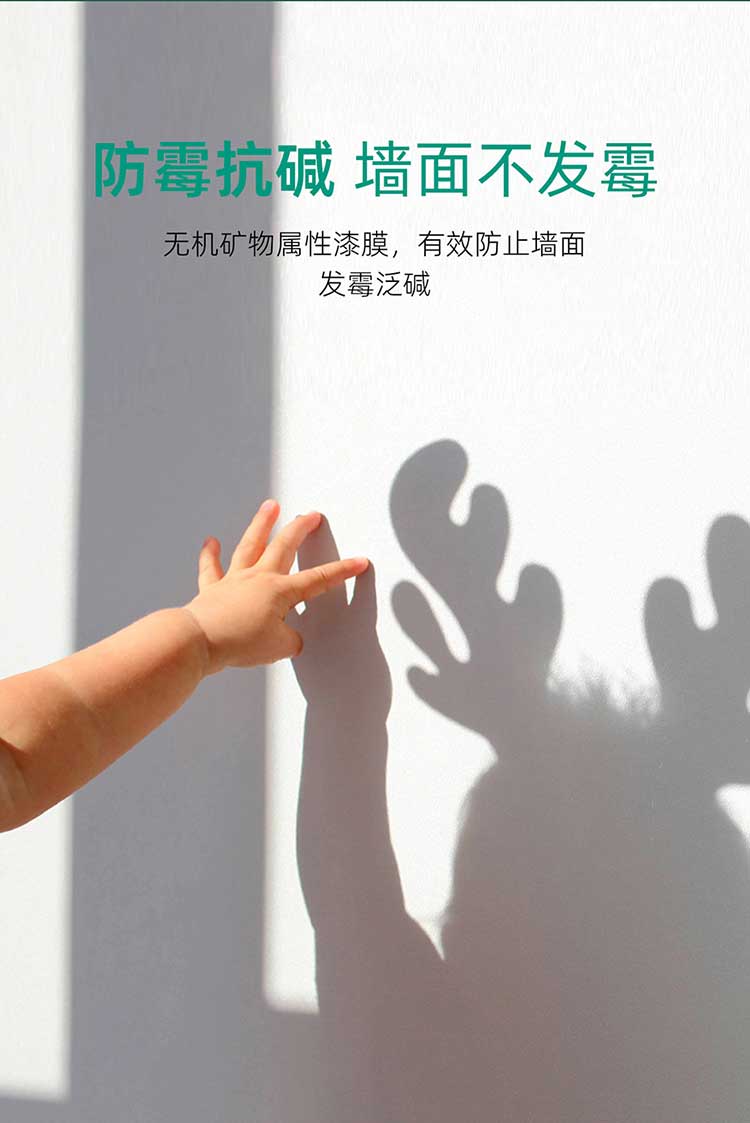 康乃馨无机净化除醛漆_05